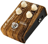 LR Baggs Align Series Session *Free Shipping in the USA*