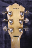 Washburn J-6S P90s with Bigsby