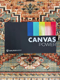 Walrus Audio Canvas Power 8 Used