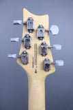 2020 Paul Reed Smith SE Silver Sky Nylon Blue