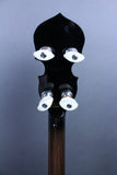 Gold Tone IT-250F Irish Tenor Banjo