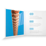 D'Addario XSAPB1253 Phosphor Bronze Light Coated Acoustic Guitar Strings