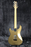 2019 Paul Reed Smith Silver Sky Golden Mesa
