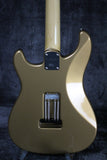 2019 Paul Reed Smith Silver Sky Golden Mesa