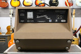 Fender Acoustasonic 30