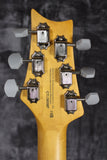 2021 Paul Reed Smith Silver Sky SE