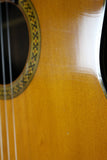 1969 Martin N-20 *Willie Nelson-Trigger*