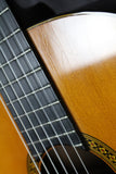 1969 Martin N-20 *Willie Nelson-Trigger*